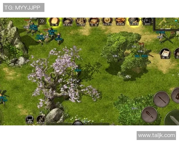 新人入手足球星卡必看指南从选择到收藏技巧全攻略 新人入手足球星卡必看指南从选择到收藏技巧全攻略